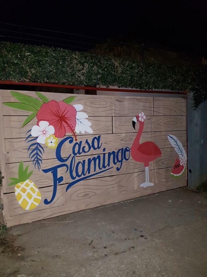ラス・テレナス Casa Flamingoヴィラ エクステリア 写真