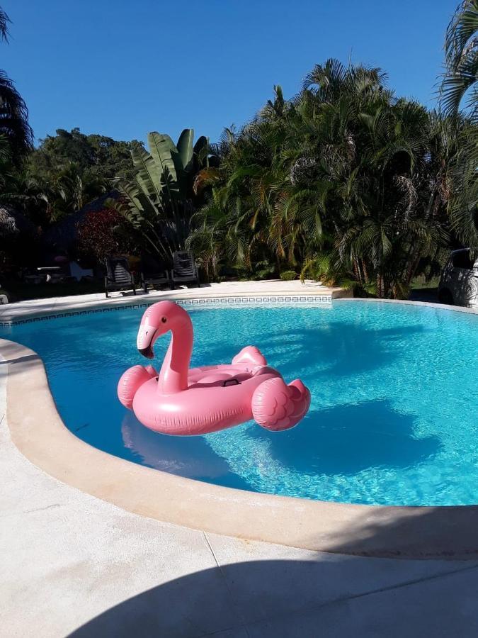 ラス・テレナス Casa Flamingoヴィラ エクステリア 写真